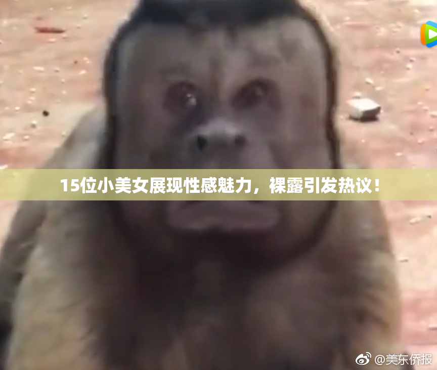 15位小美女展现性感魅力，裸露引发热议！
