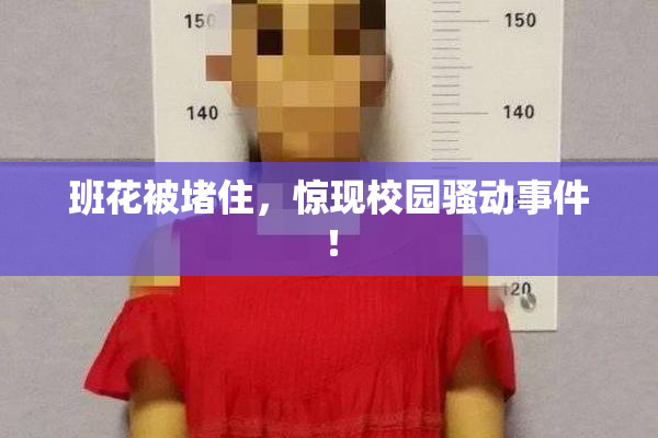 班花被堵住，惊现校园骚动事件！