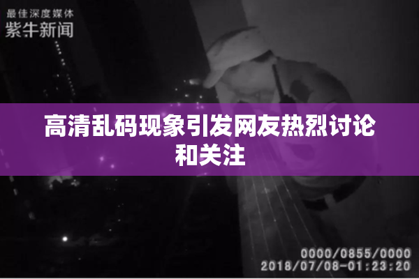 高清乱码现象引发网友热烈讨论和关注