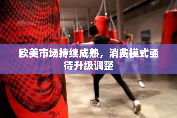 欧美市场持续成熟，消费模式亟待升级调整
