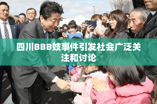 四川BBB妓事件引发社会广泛关注和讨论