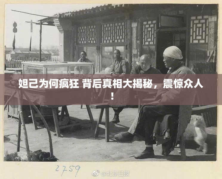 妲己为何疯狂 背后真相大揭秘，震惊众人！