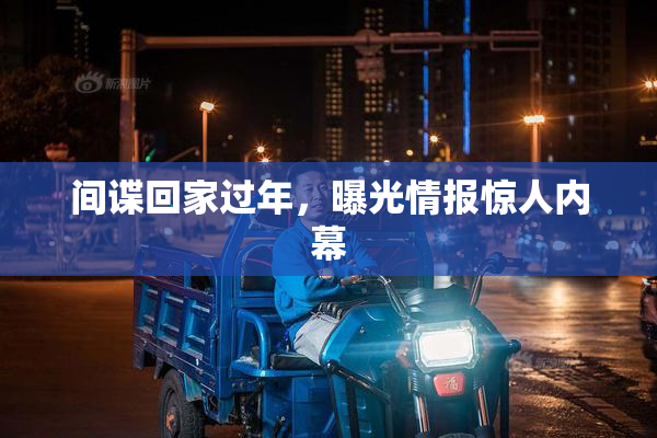 间谍回家过年，曝光情报惊人内幕