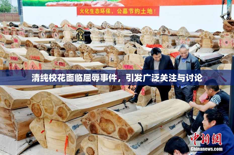 清纯校花面临屈辱事件，引发广泛关注与讨论
