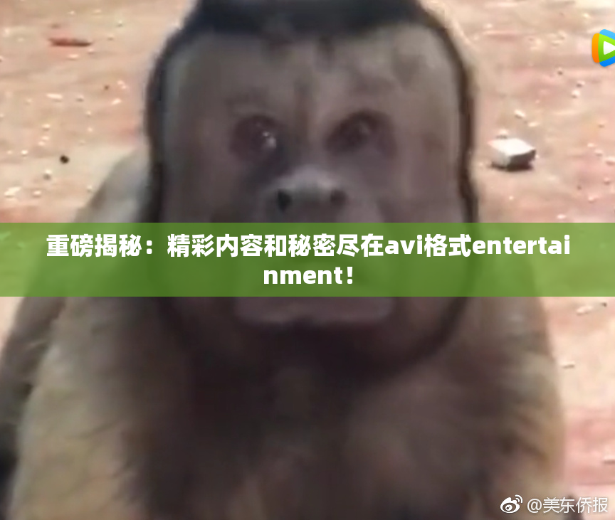 重磅揭秘：精彩内容和秘密尽在avi格式entertainment！
