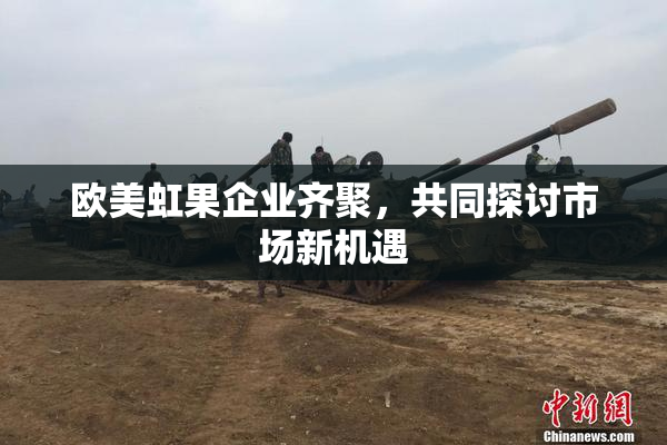 欧美虹果企业齐聚，共同探讨市场新机遇