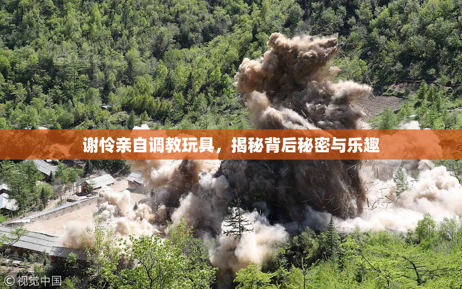 谢怜亲自调教玩具，揭秘背后秘密与乐趣
