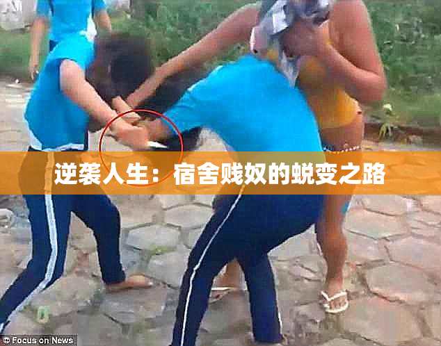 逆袭人生：宿舍贱奴的蜕变之路