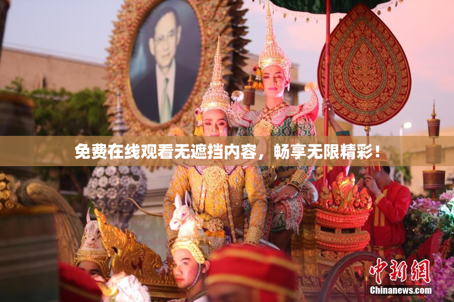 免费在线观看无遮挡内容，畅享无限精彩！