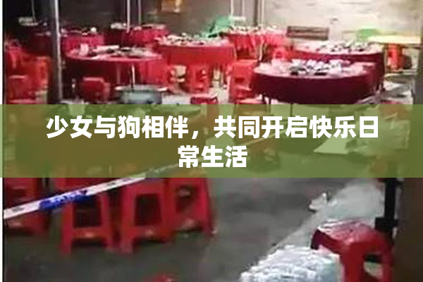少女与狗相伴，共同开启快乐日常生活