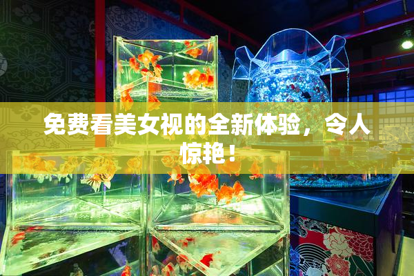 免费看美女视的全新体验，令人惊艳！
