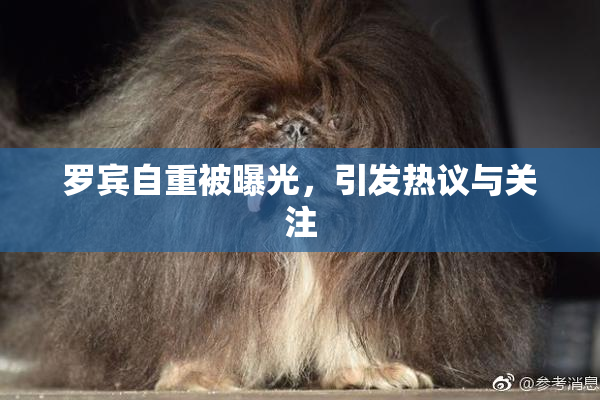 罗宾自重被曝光，引发热议与关注