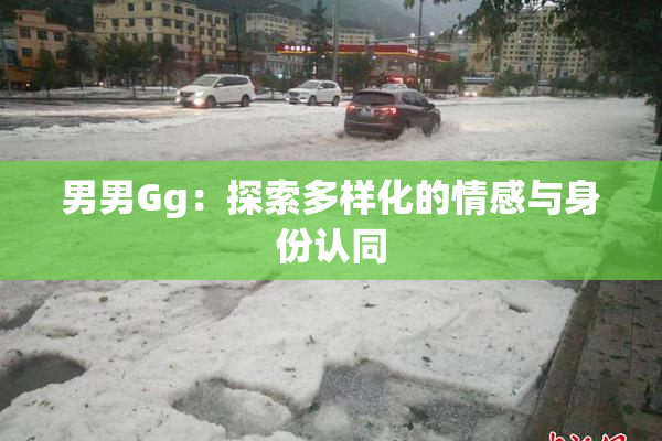 男男Gg：探索多样化的情感与身份认同