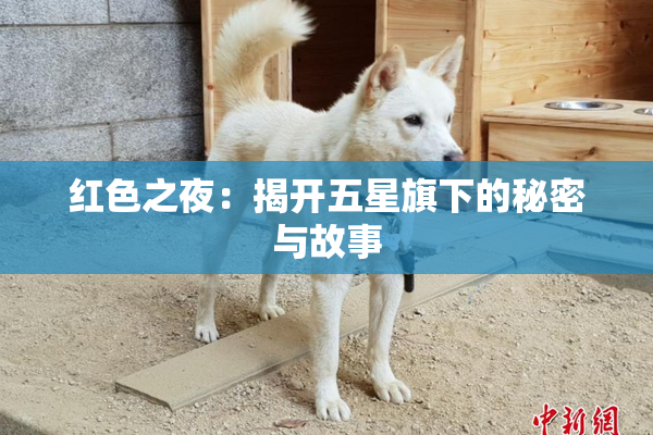红色之夜：揭开五星旗下的秘密与故事
