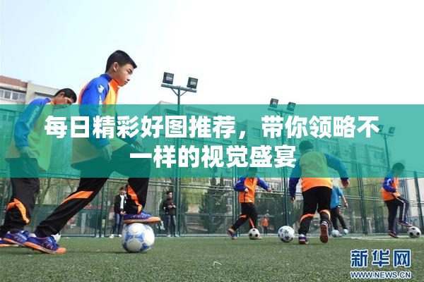 每日精彩好图推荐，带你领略不一样的视觉盛宴