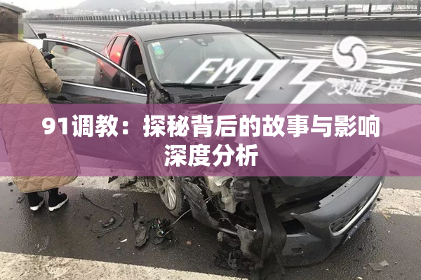 91调教：探秘背后的故事与影响深度分析