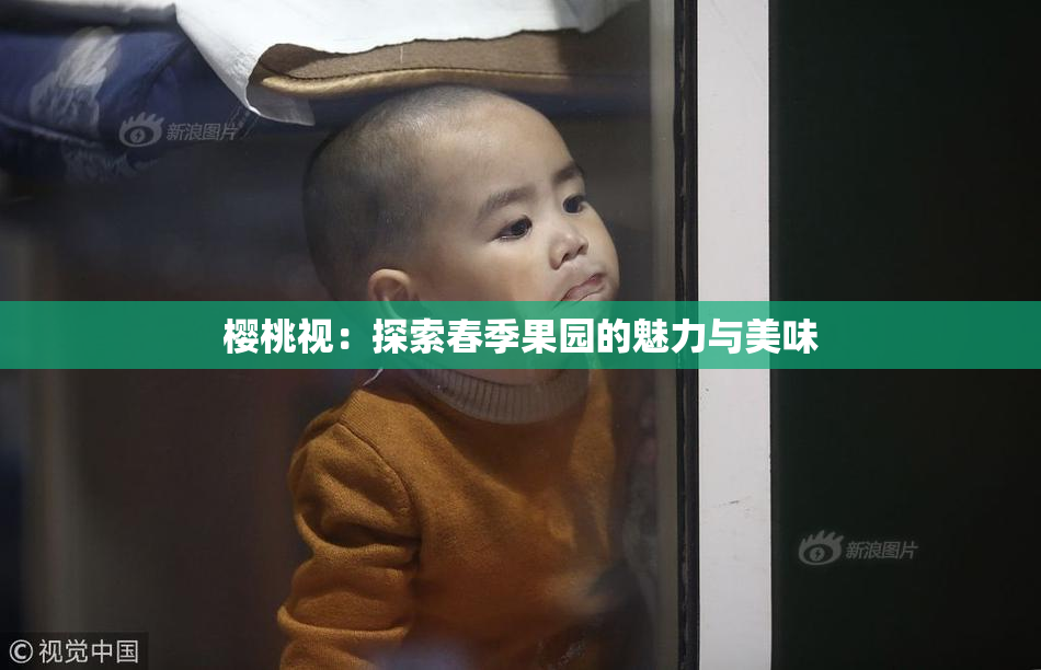 樱桃视：探索春季果园的魅力与美味