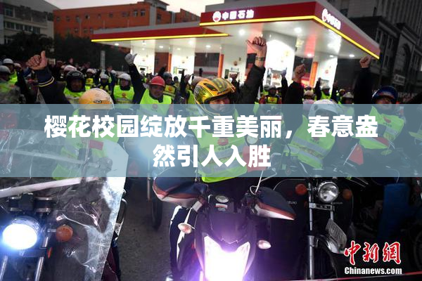 樱花校园绽放千重美丽，春意盎然引人入胜