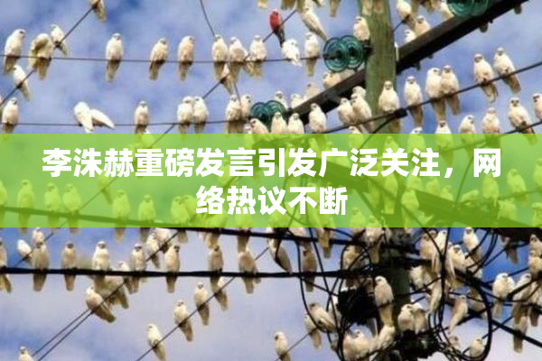 李洙赫重磅发言引发广泛关注，网络热议不断