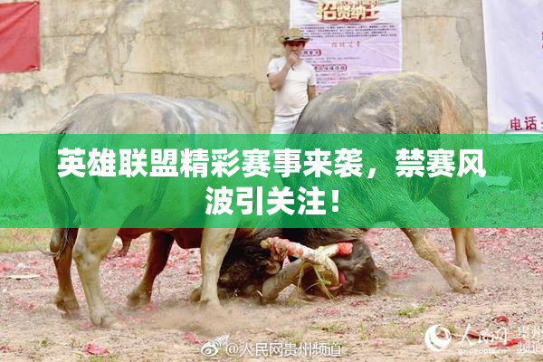 英雄联盟精彩赛事来袭，禁赛风波引关注！