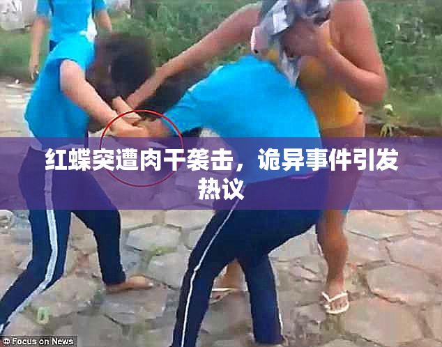 红蝶突遭肉干袭击，诡异事件引发热议