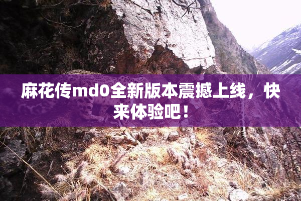 麻花传md0全新版本震撼上线，快来体验吧！