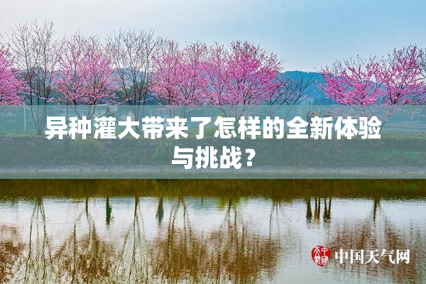 异种灌大带来了怎样的全新体验与挑战？