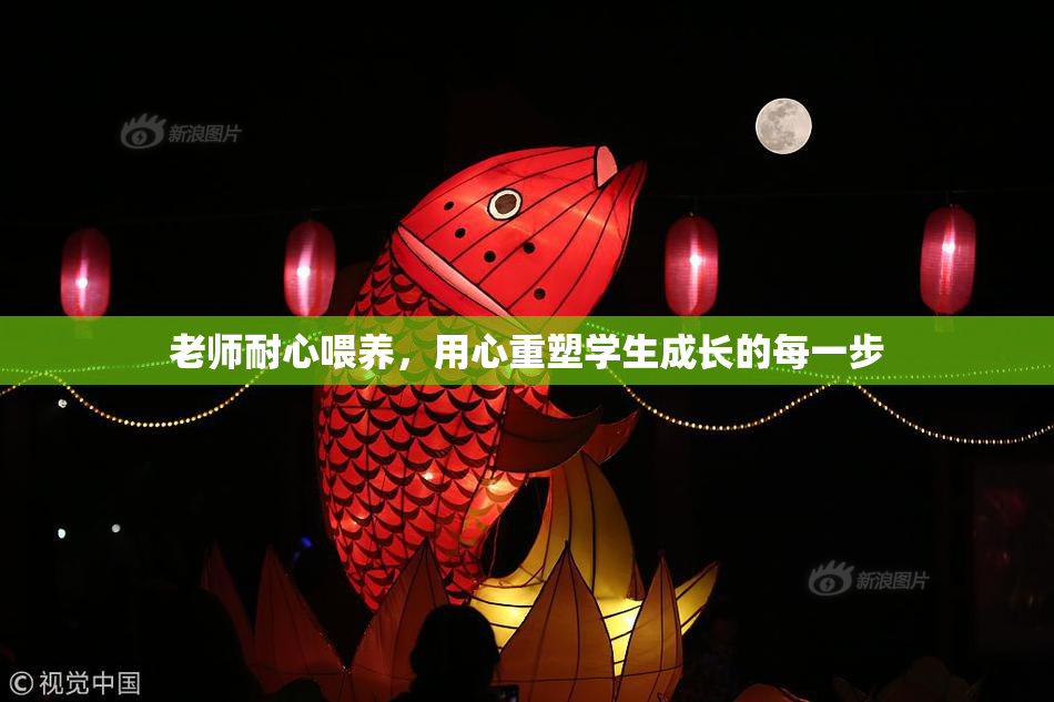 老师耐心喂养，用心重塑学生成长的每一步