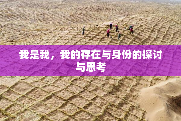 我是我，我的存在与身份的探讨与思考