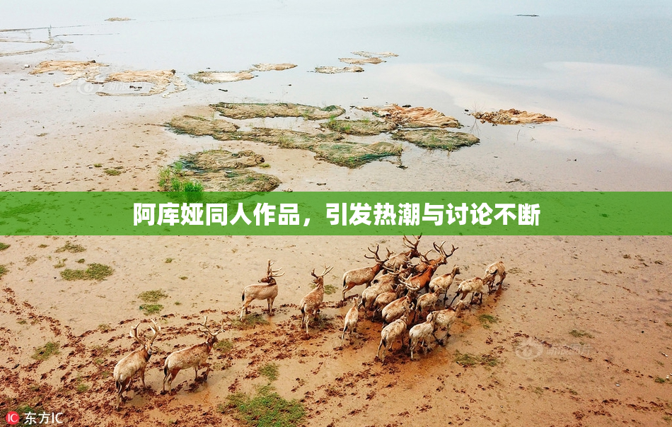 阿库娅同人作品，引发热潮与讨论不断