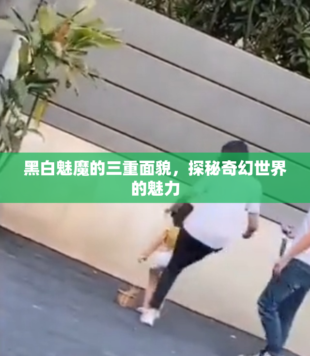 黑白魅魔的三重面貌，探秘奇幻世界的魅力