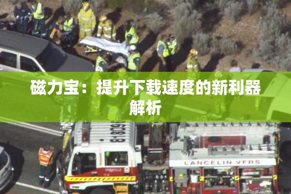 磁力宝：提升下载速度的新利器解析