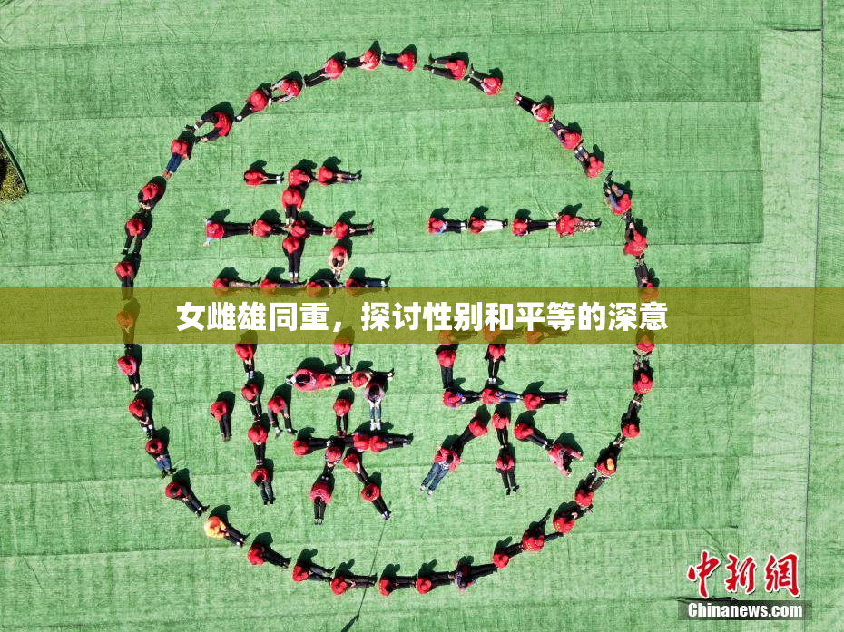 女雌雄同重，探讨性别和平等的深意