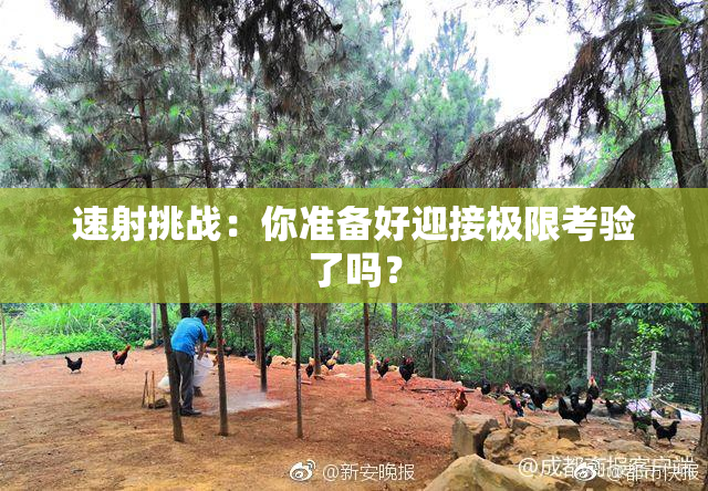 速射挑战：你准备好迎接极限考验了吗？