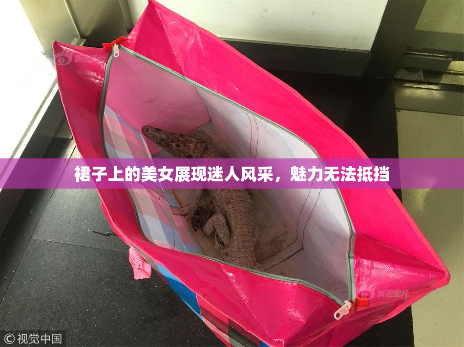 裙子上的美女展现迷人风采，魅力无法抵挡