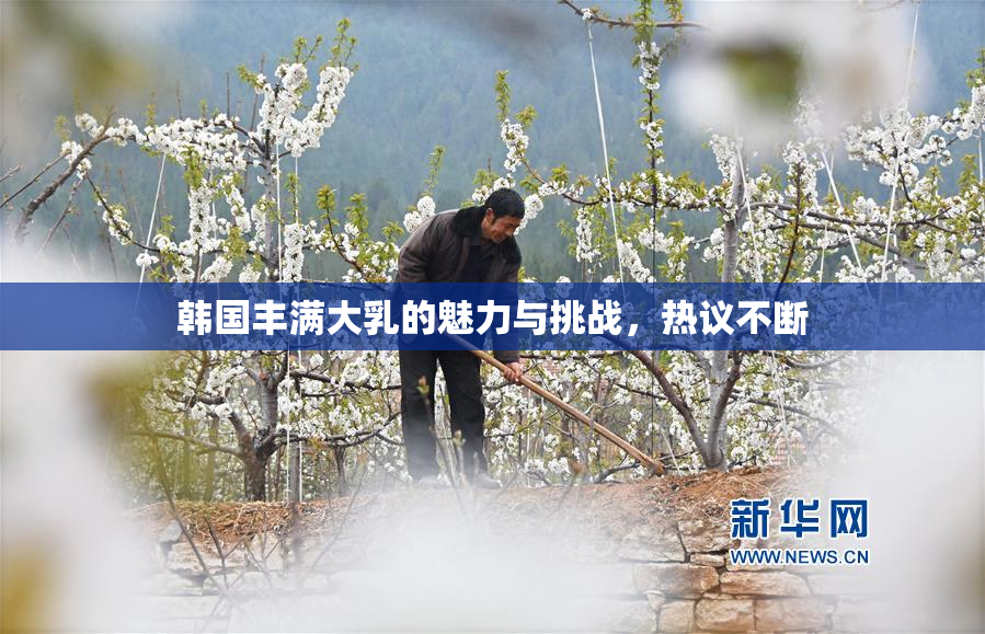 韩国丰满大乳的魅力与挑战，热议不断