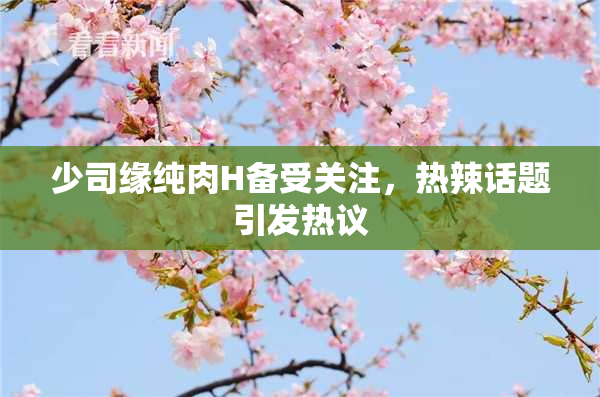 少司缘纯肉H备受关注，热辣话题引发热议