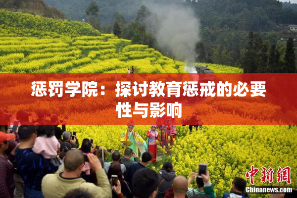 惩罚学院：探讨教育惩戒的必要性与影响