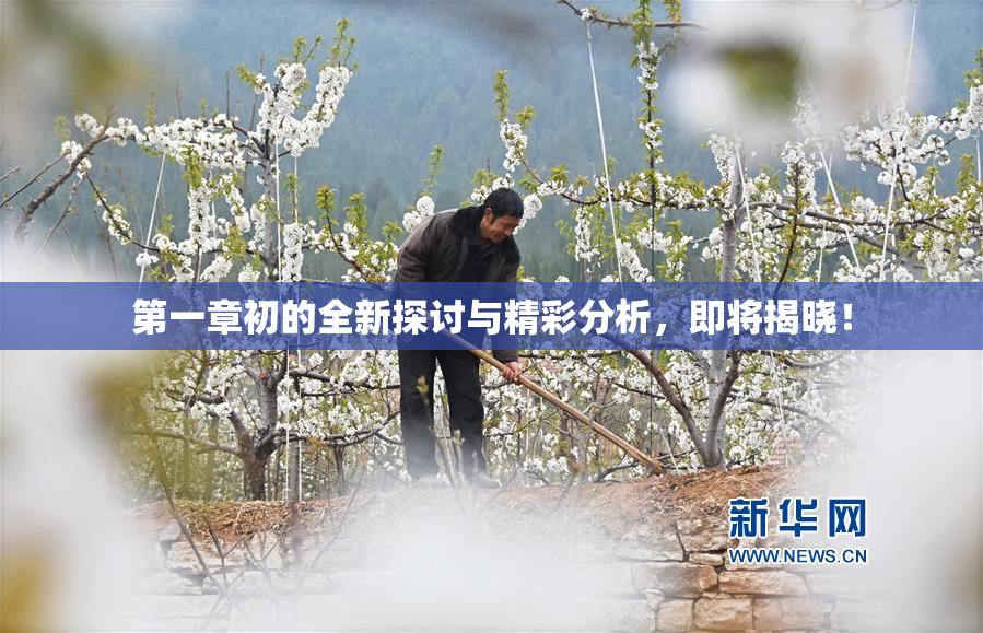 第一章初的全新探讨与精彩分析，即将揭晓！