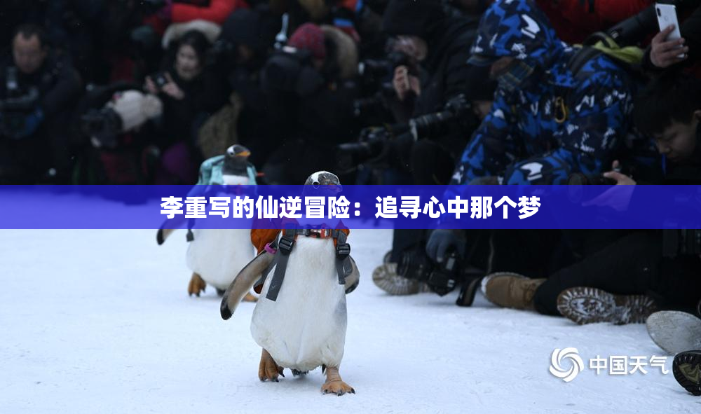 李重写的仙逆冒险：追寻心中那个梦