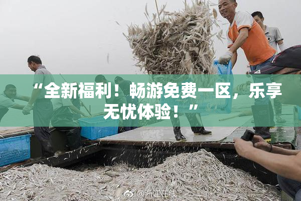 “全新福利！畅游免费一区，乐享无忧体验！”