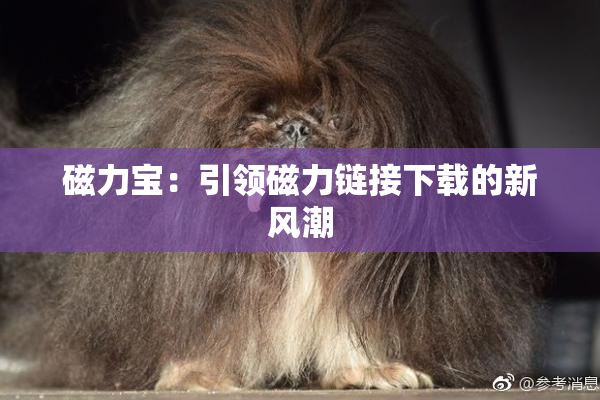磁力宝：引领磁力链接下载的新风潮