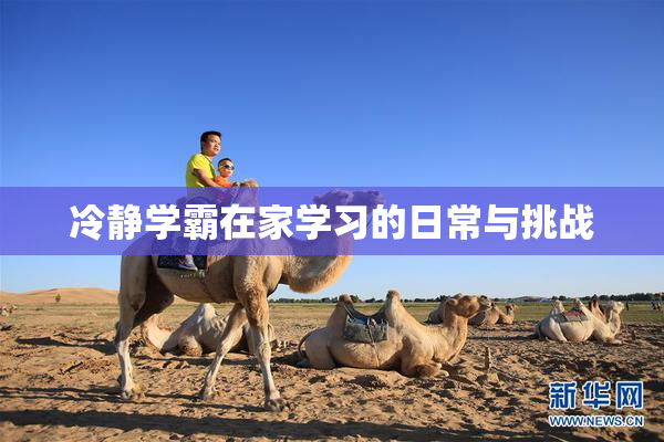 冷静学霸在家学习的日常与挑战