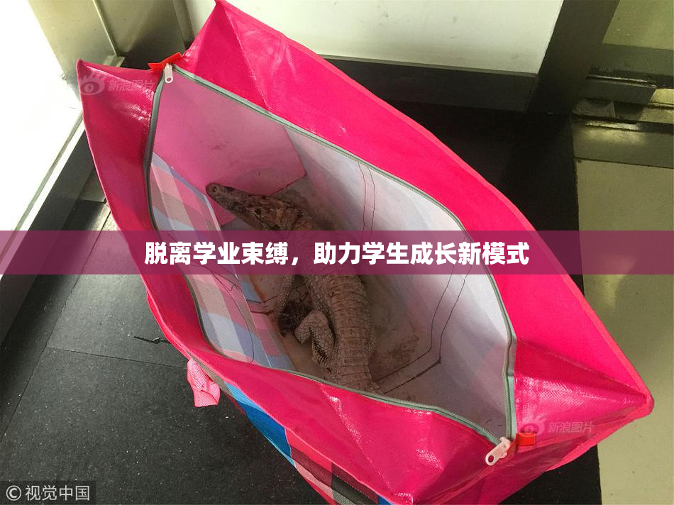 脱离学业束缚，助力学生成长新模式
