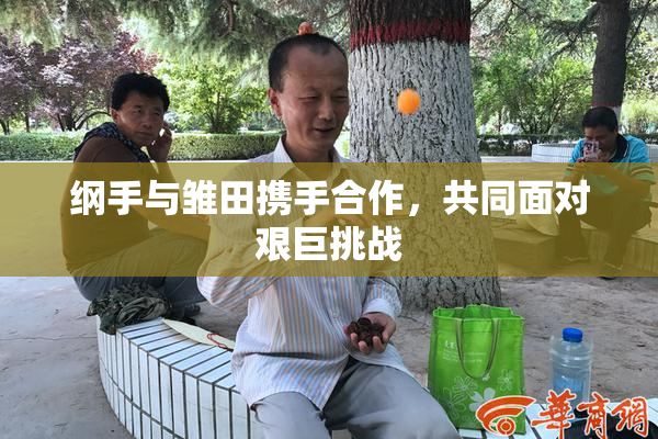 纲手与雏田携手合作，共同面对艰巨挑战