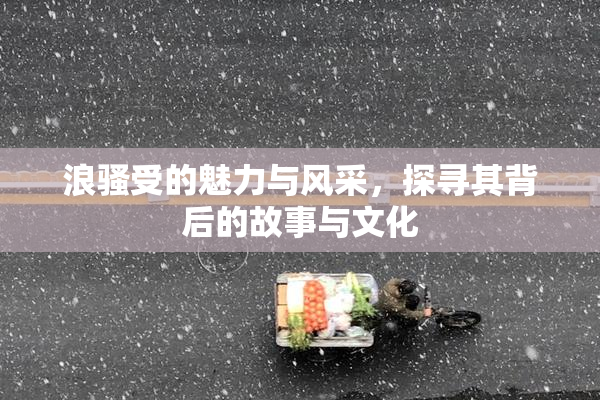 浪骚受的魅力与风采，探寻其背后的故事与文化