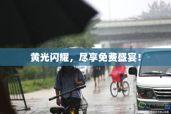 黄光闪耀，尽享免费盛宴！