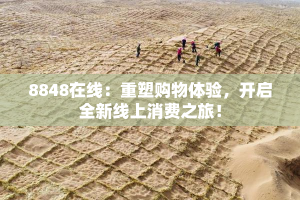 8848在线：重塑购物体验，开启全新线上消费之旅！