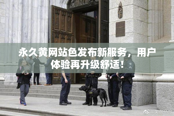 永久黄网站色发布新服务，用户体验再升级舒适！