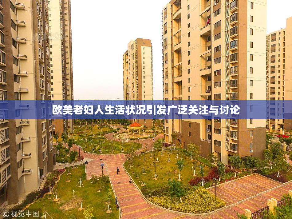 欧美老妇人生活状况引发广泛关注与讨论